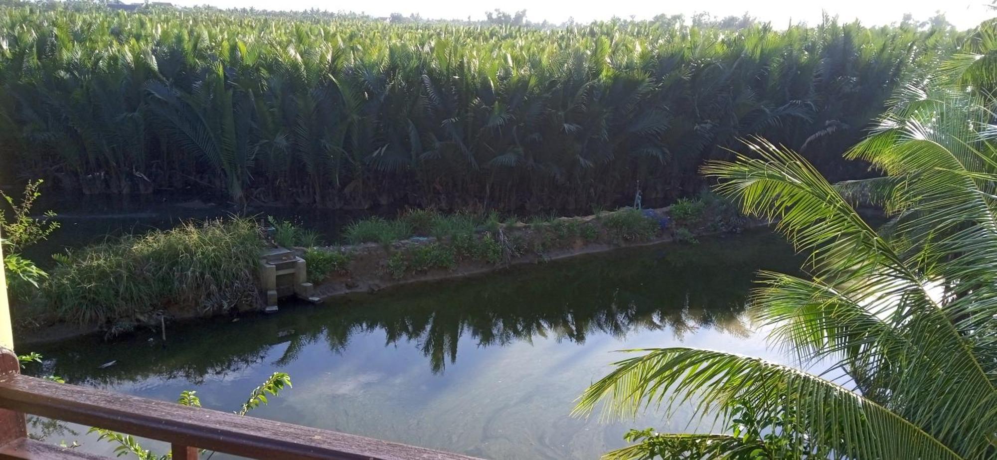 Lakeview Villa Homestay Hoi An Eksteriør billede