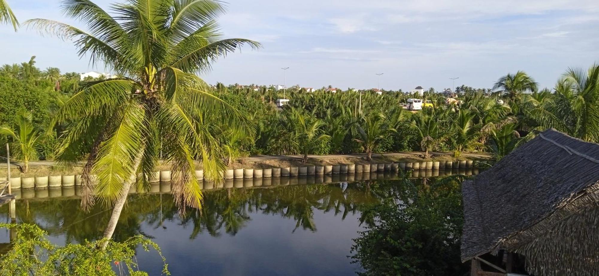 Lakeview Villa Homestay Hoi An Eksteriør billede