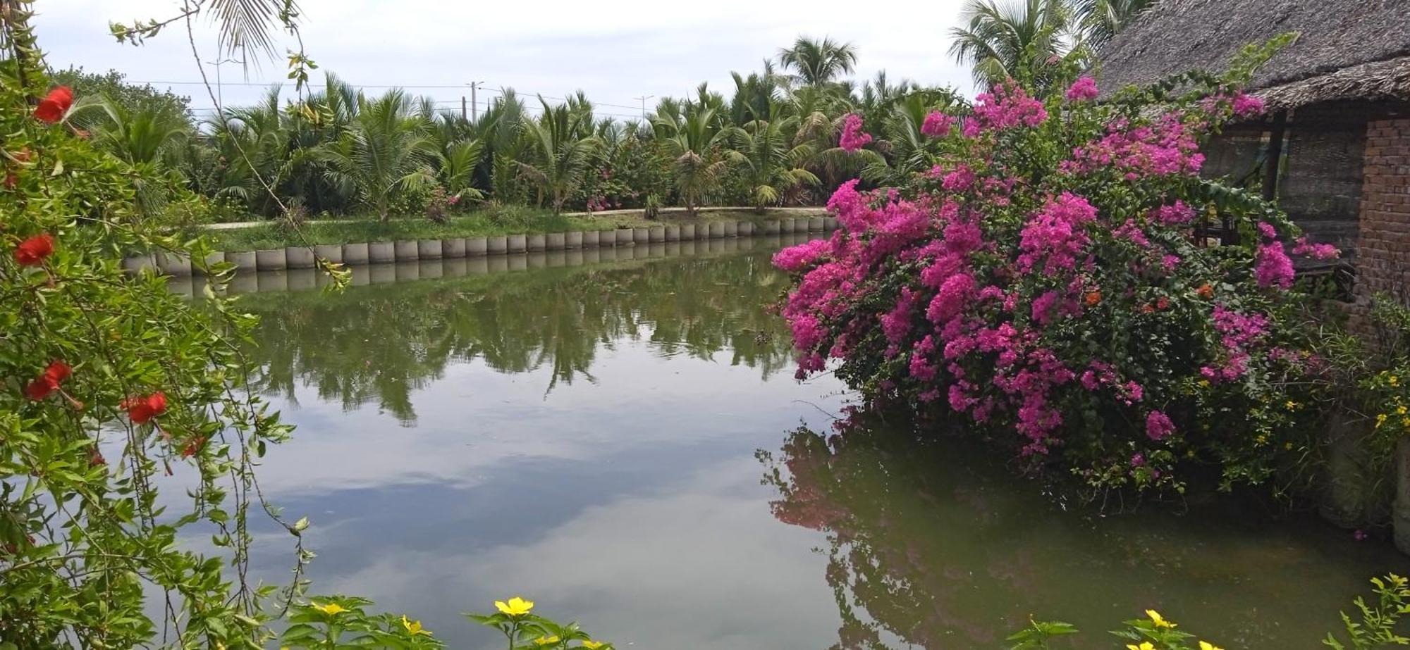 Lakeview Villa Homestay Hoi An Eksteriør billede